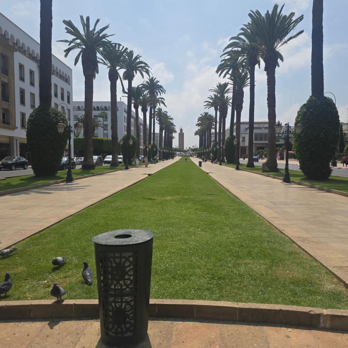 S&k House Rabat